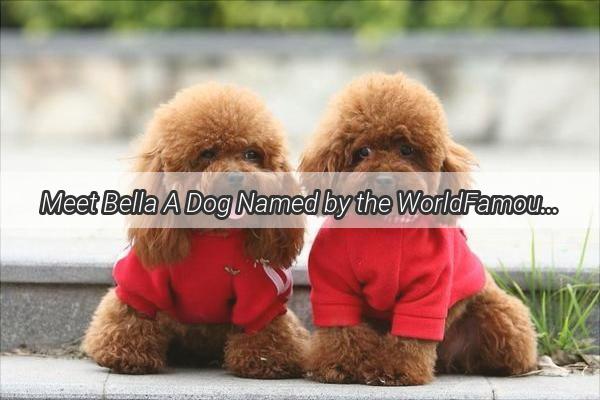 Meet Bella A Dog Named by the WorldFamous Architect Who Changed Our Lives